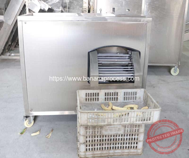 Brasil-Green-Banana-Peeling-Machine-Ready-for-Delivery